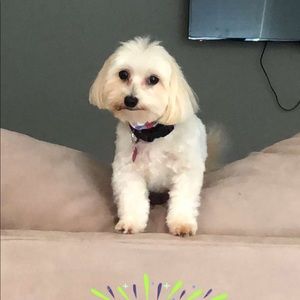 Meet your Posher, Mamie